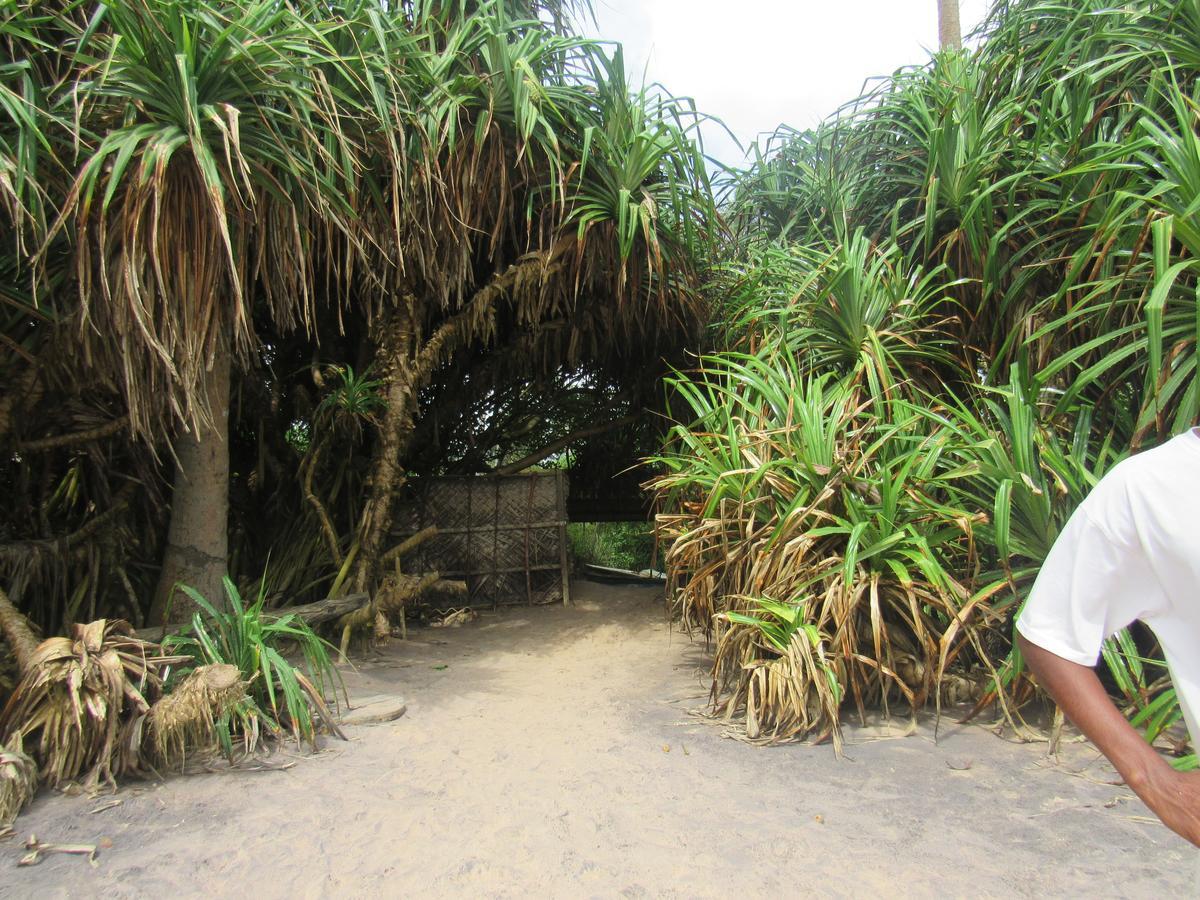 Leatherback Beach Villa Ahungalla Exterior foto